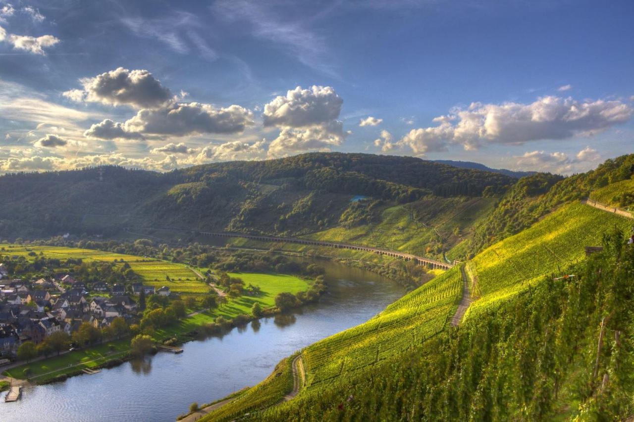 Apartmán Casa Schneider - Urlaub An Der Mittelmosel Enkirch Exteriér fotografie